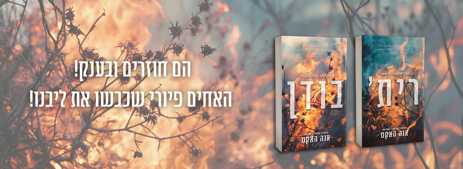 באנר נייח פיורי חדש